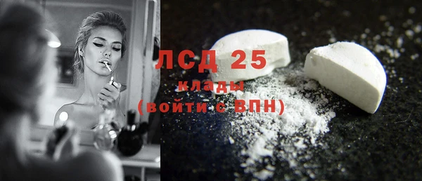 spice Богородицк
