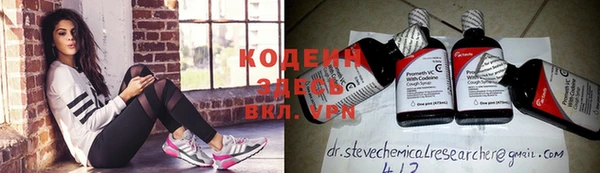 spice Богородицк