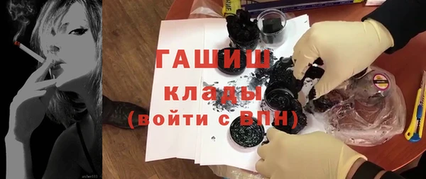 spice Богородицк