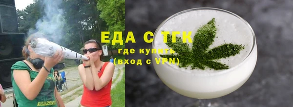 spice Богородицк