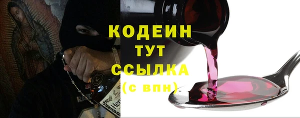 spice Богородицк