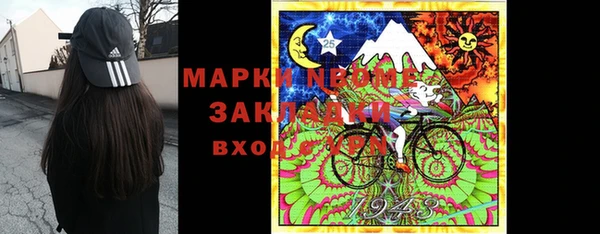spice Богородицк