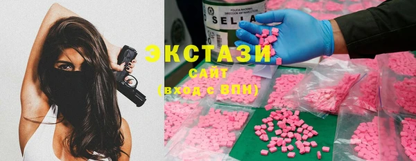 spice Богородицк